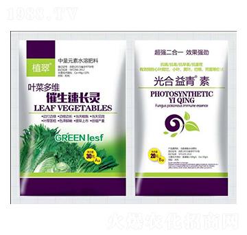 �������L�`-�����S