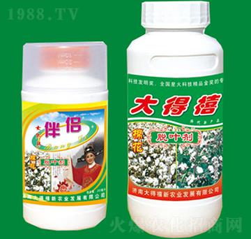 �޻�Ó�~��-�����