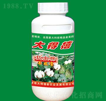 ���x��-�S�Ռ�-�����