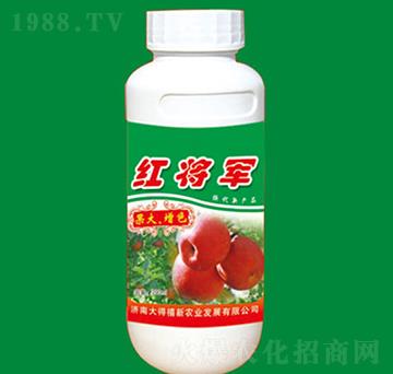 �t��܊-������ɫ-�����