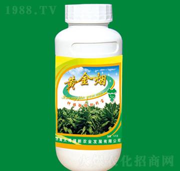 ��\�F�i�f�}��-�S��-�����