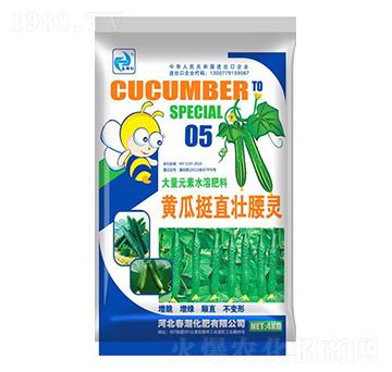 �S��ֱͦ�����`-�����t