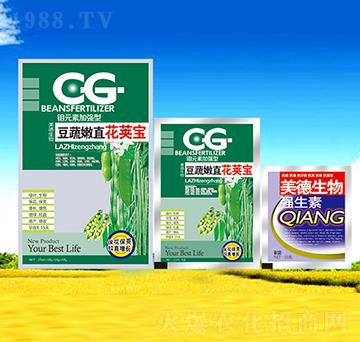 ������ֱ���v��-��������