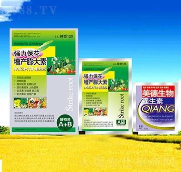 �������a(ch��n)�����-��������