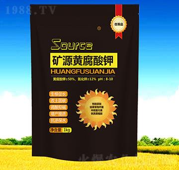 �VԴ�S�����-��������