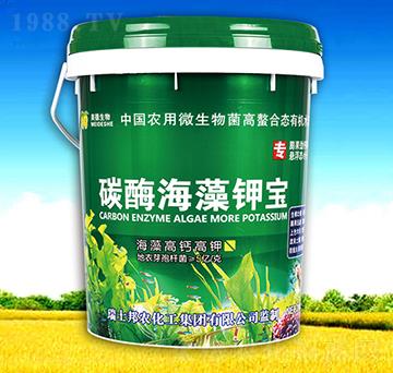 ̼ø����⛌�-��������