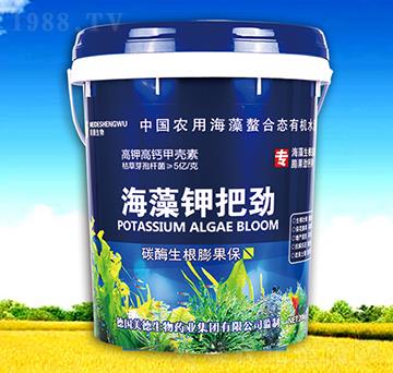 ����⛰ф�-��������