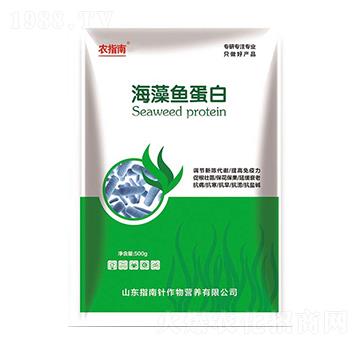 �����~����-�r(n��ng)ָ��