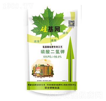 ��������-����W(w��ng)-�����