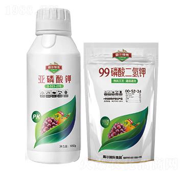 �������+99��������-�Ԡ��G��