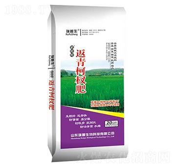 返青柯杈肥-瑞普生物