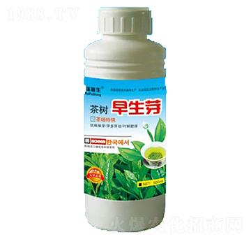 茶樹早生芽-瑞普生物