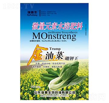 微量元素水溶肥-金油菜硼鉀王-瑞普生物