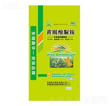 �S�������@-���A�ʘI(y��)