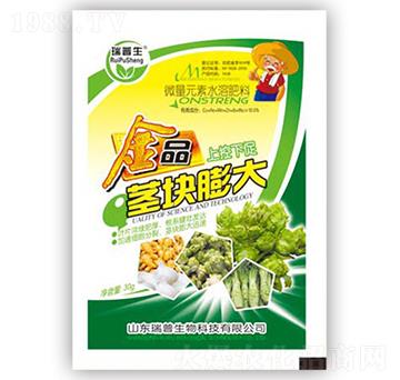 金品塊莖膨大-瑞普生物