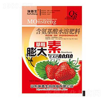 草莓膨大素-瑞普生物