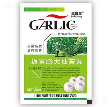 返青膨大抽苔素-瑞普生物