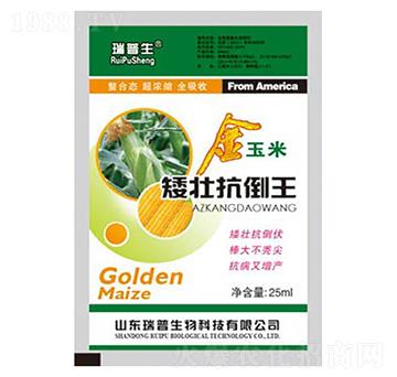 金玉米矮壯抗倒王-瑞普生物