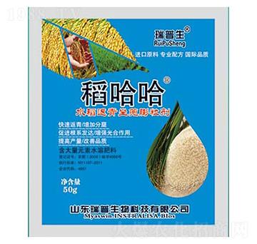 水稻返青坐蔸膨粒劑-稻哈哈-瑞普生物