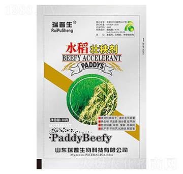 水稻壯秧劑-瑞普生物