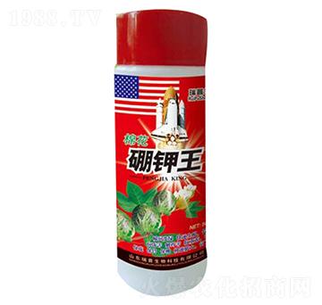 棉花硼鉀王-瑞普生物