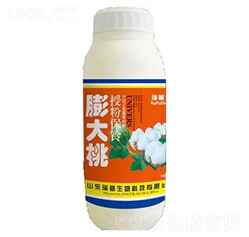 膨大桃-瑞普生物