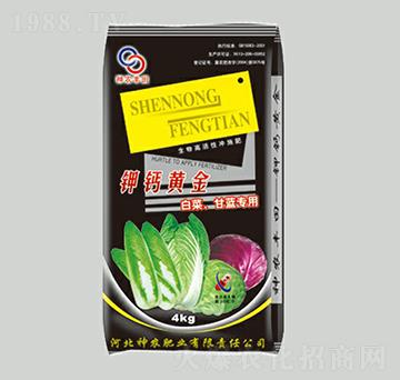 �ײ˸��{(l��n)��(zhu��n)����}�S��-���r(n��ng)�S��-���r(n��ng)�ʘI(y��)