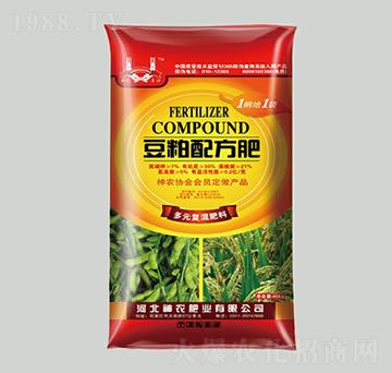 �����䷽��(f��)�����-���r(n��ng)�ʘI(y��)