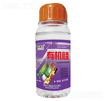 有機(jī)硅（瓶）-瑞普生物