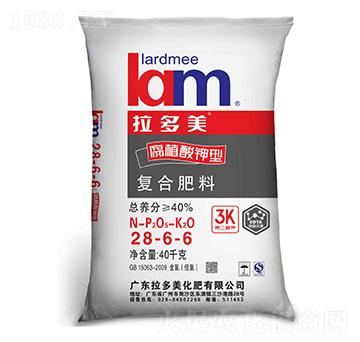 ���׌�(zhu��n)�Ï�(f��)�Ϸ���28-6-6-������