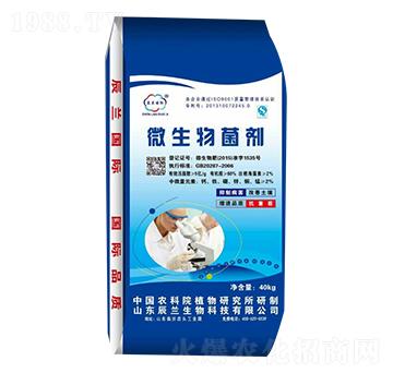 40kg΢�������-���m����