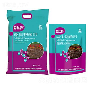 ΢�������-���z��-��������