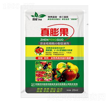 ��ȫ�Լ�(x��)�����Ѵ��M(j��n)��-�����-�￡�ʘI(y��)