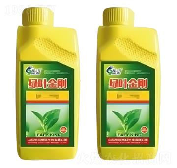 �G�~����-ʩ����-ԣ��߿�