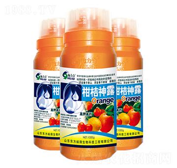 �̽���¶-ʩ����-ԣ��߿�