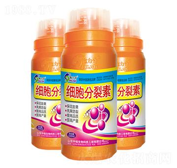 1000ml��(x��)��������-ʩ����-ԣ��߿�