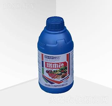 ����ɫ-���A����