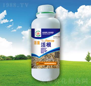 �������~���-�������