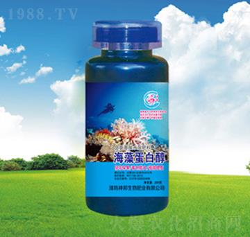 ���嵰�״�-�������