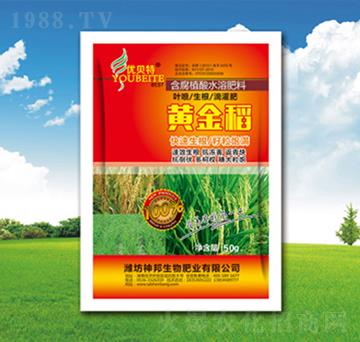 �S���~���-�������