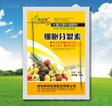 ��(x��)�������أ��S����-�������