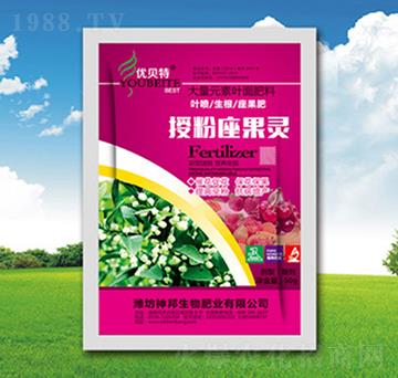 �ڷ������`-�������