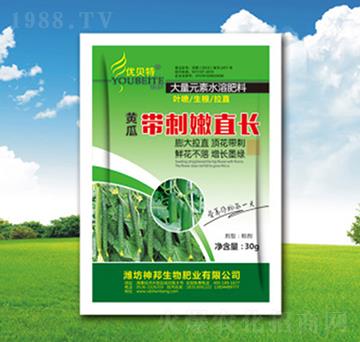 �S�ώ�����ֱ�L-�������