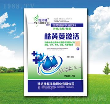 ���Sή����-�������