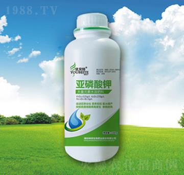 �������-�������