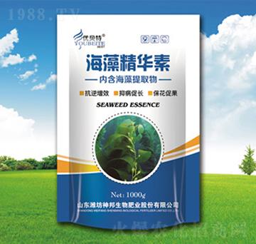 ���徫�A��-�������