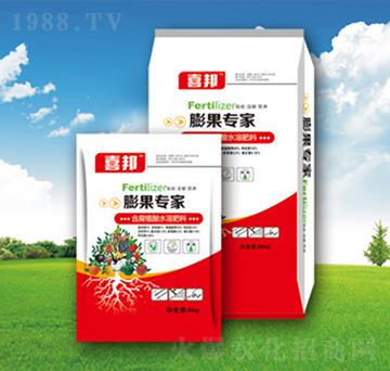 �������-�������