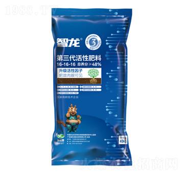 �������������Է���16-16-16-������