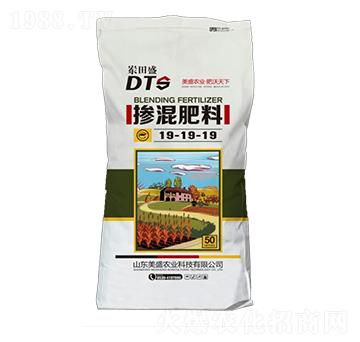 �����19-19-19-��ʢ�r(n��ng)�I(y��)