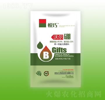 �֠���-����-�f���_